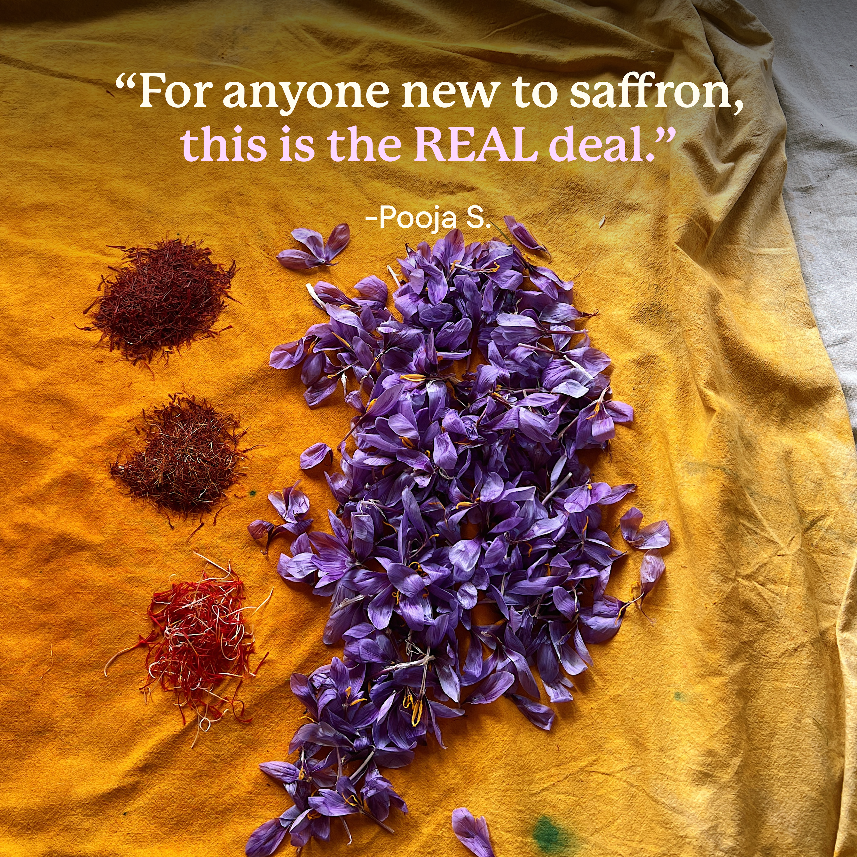 Kashmiri Saffron