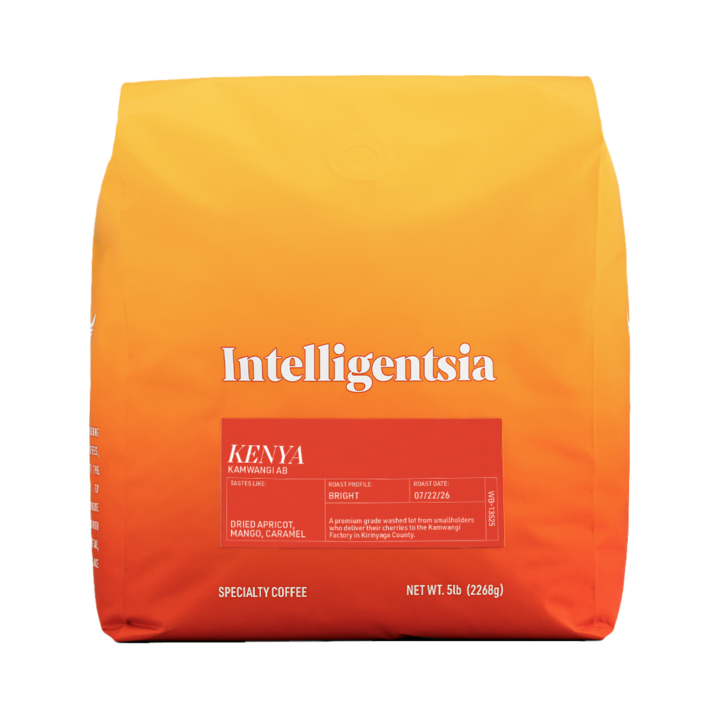 Intelligentsia's Choice