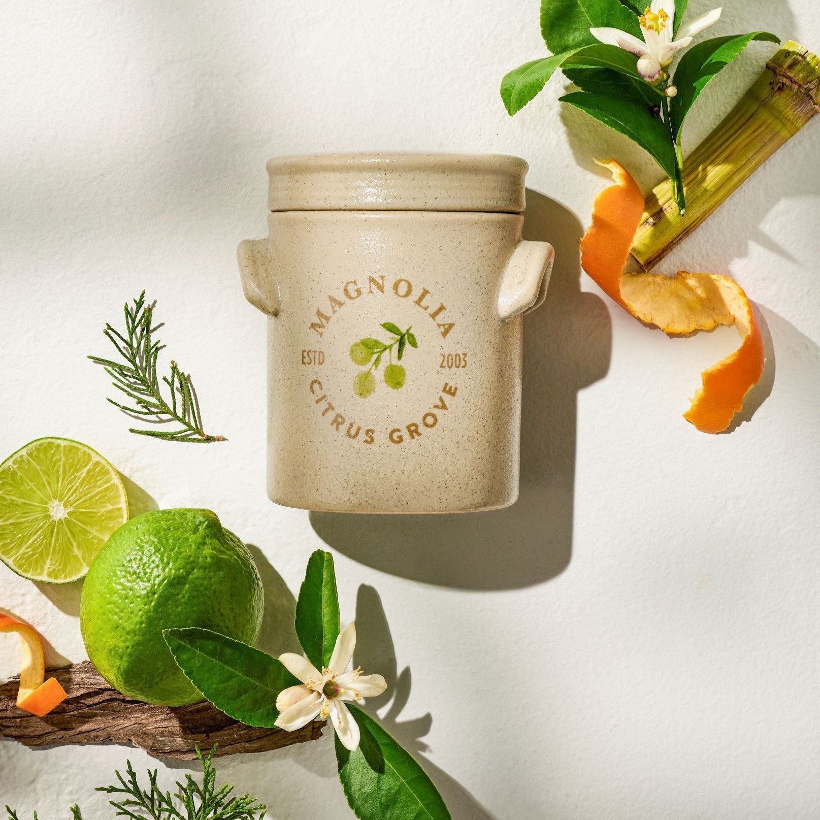 Magnolia Citrus Grove Candle
