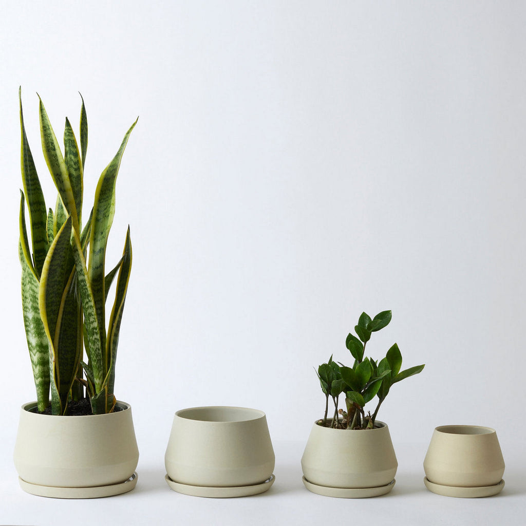 Rancho Planter, Sand