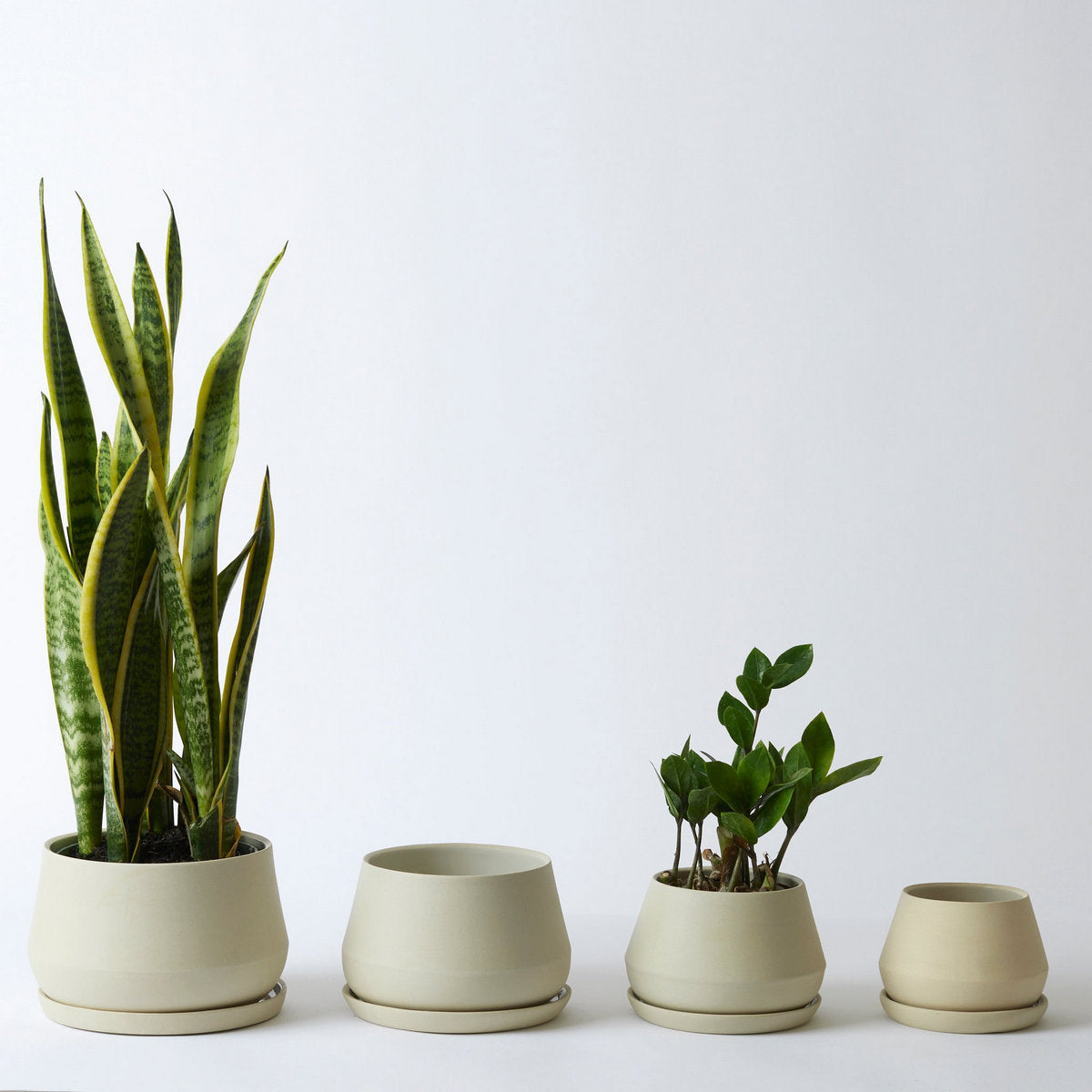 Rancho Planter, Sand