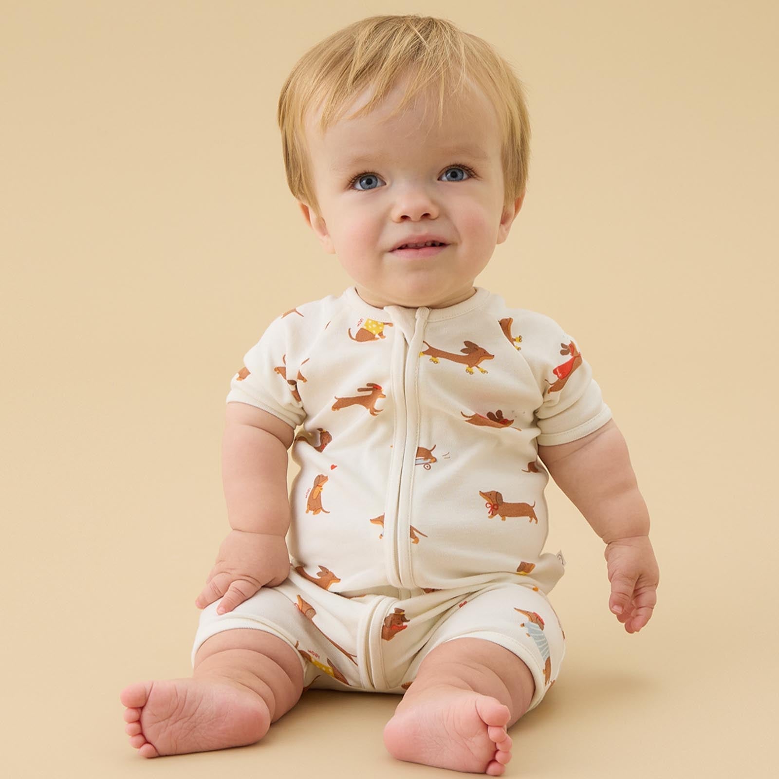Sausage Dog Summer Sleepsuit
