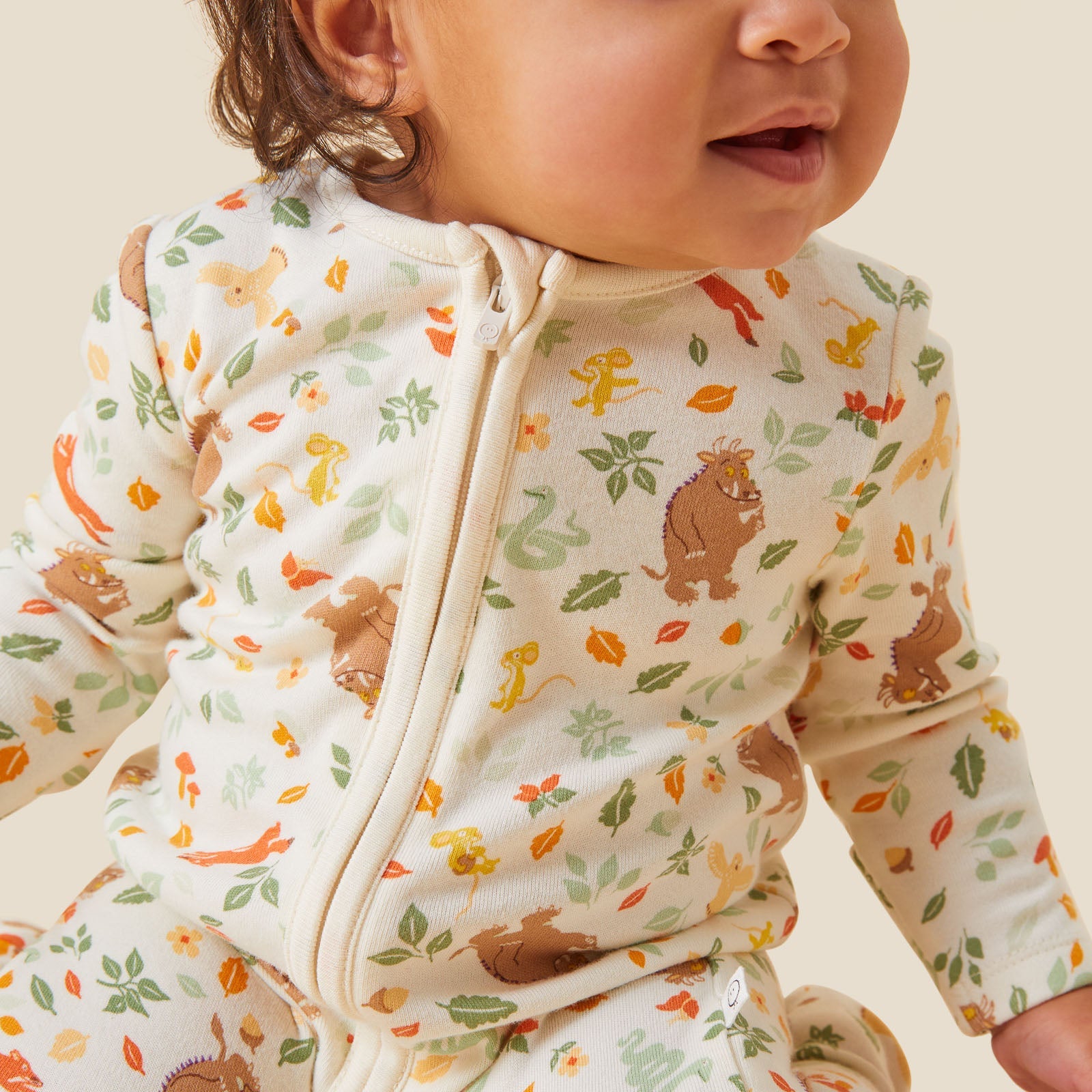 The Gruffalo Woodland Zip-Up Sleepsuit & Book Set