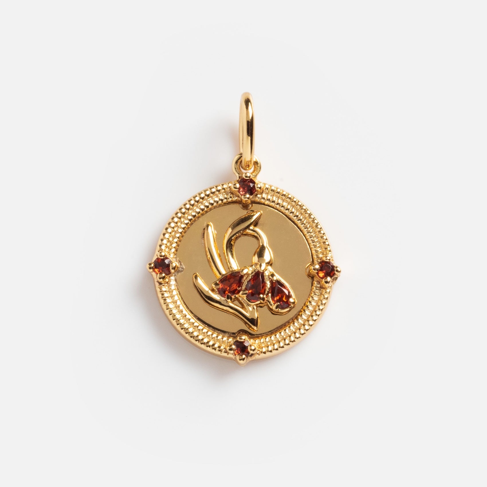 2026 January Capsule Vintage Inspired Garnet Coin Charm