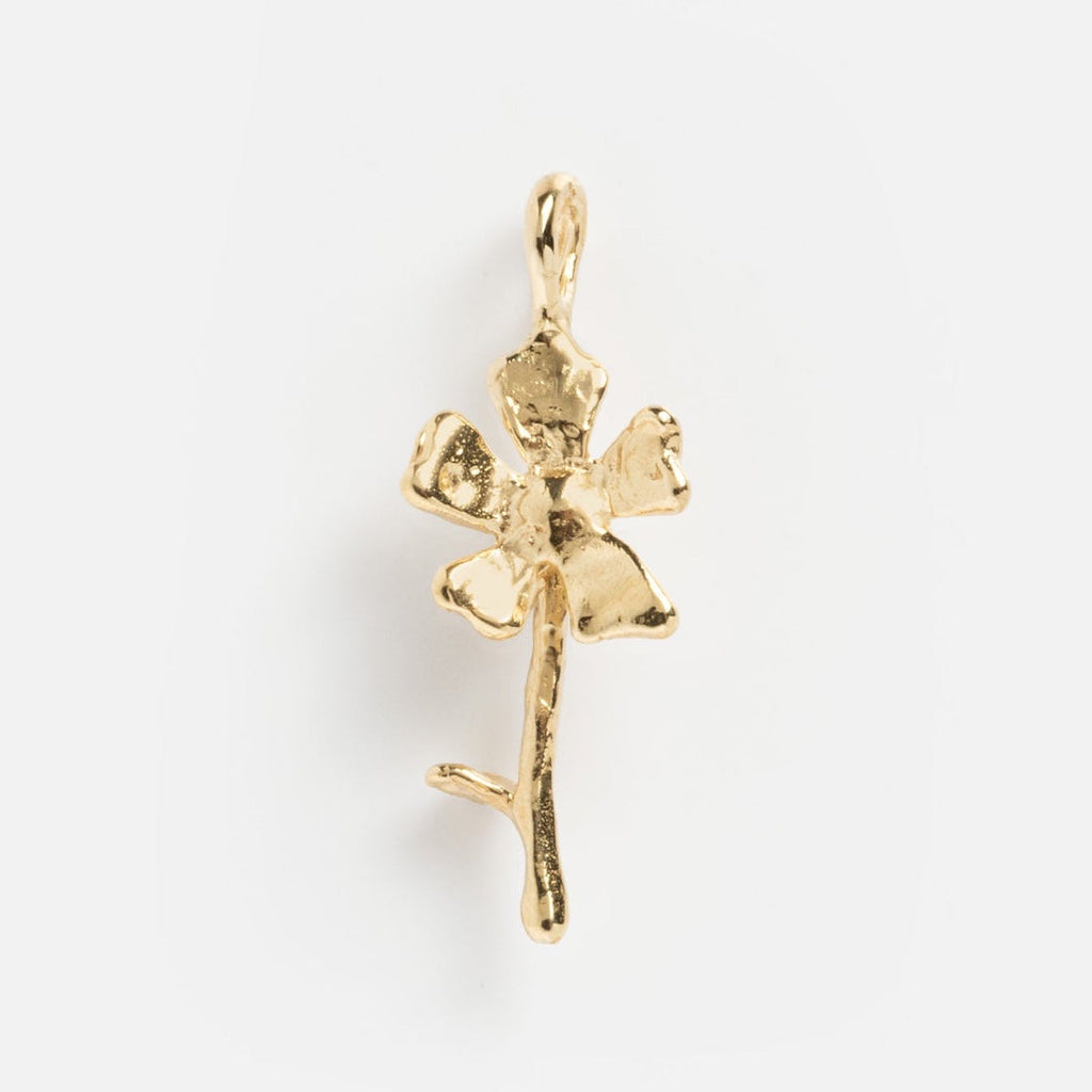 Luiny x Local Eclectic Charms