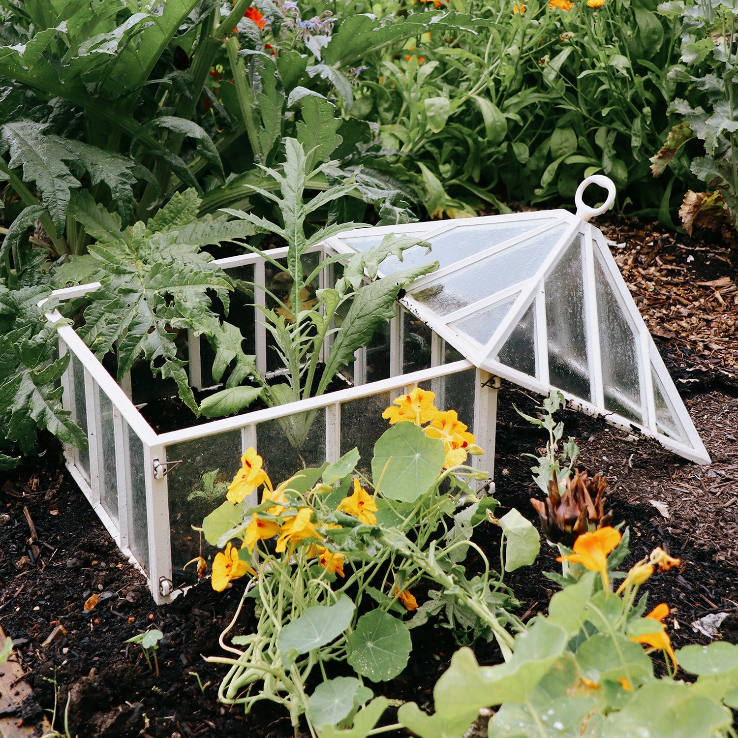 Victorian Square Cloche