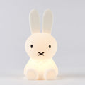 Mr Maria Miffy Bundle of Light Lamp