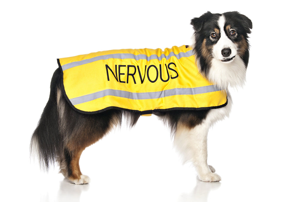 Nervous Coat