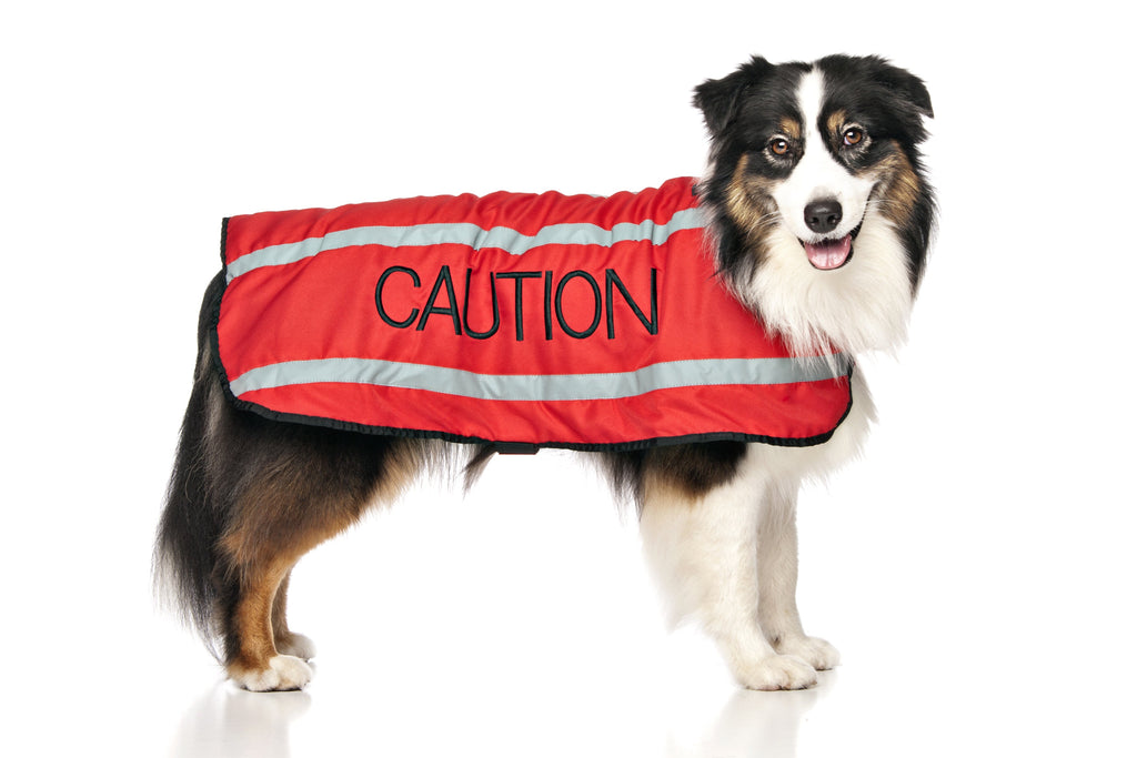 Caution Coat