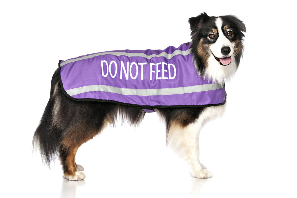 Do Not Feed Coat