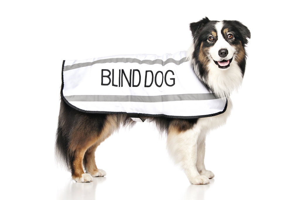 Blind Coat
