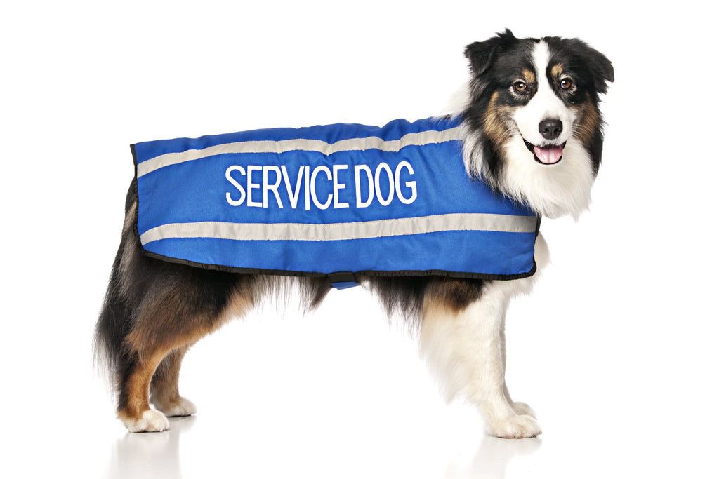 Service Dog Coat
