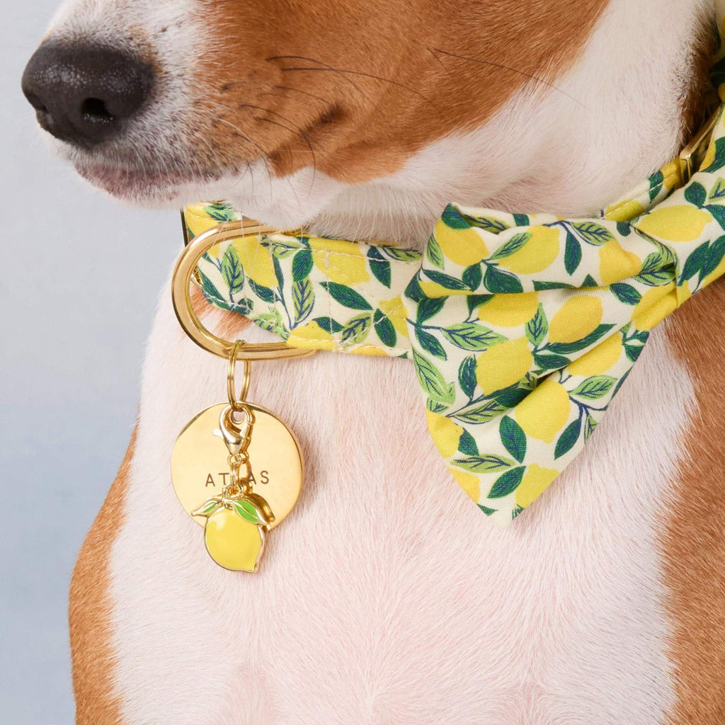 Lemon Zest Dog Bow Tie