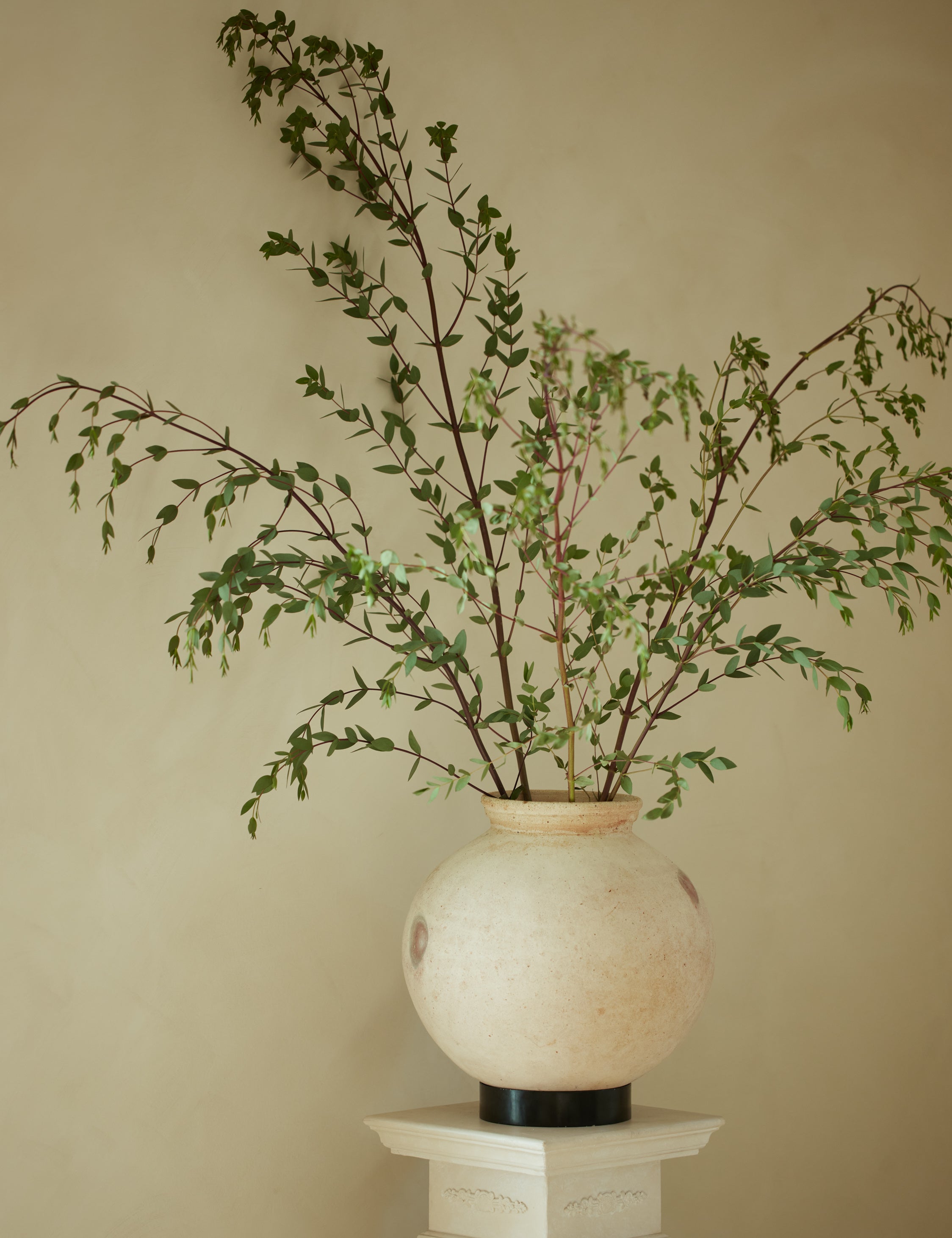 Forba Pot