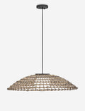 Dejana Outdoor Pendant Light
