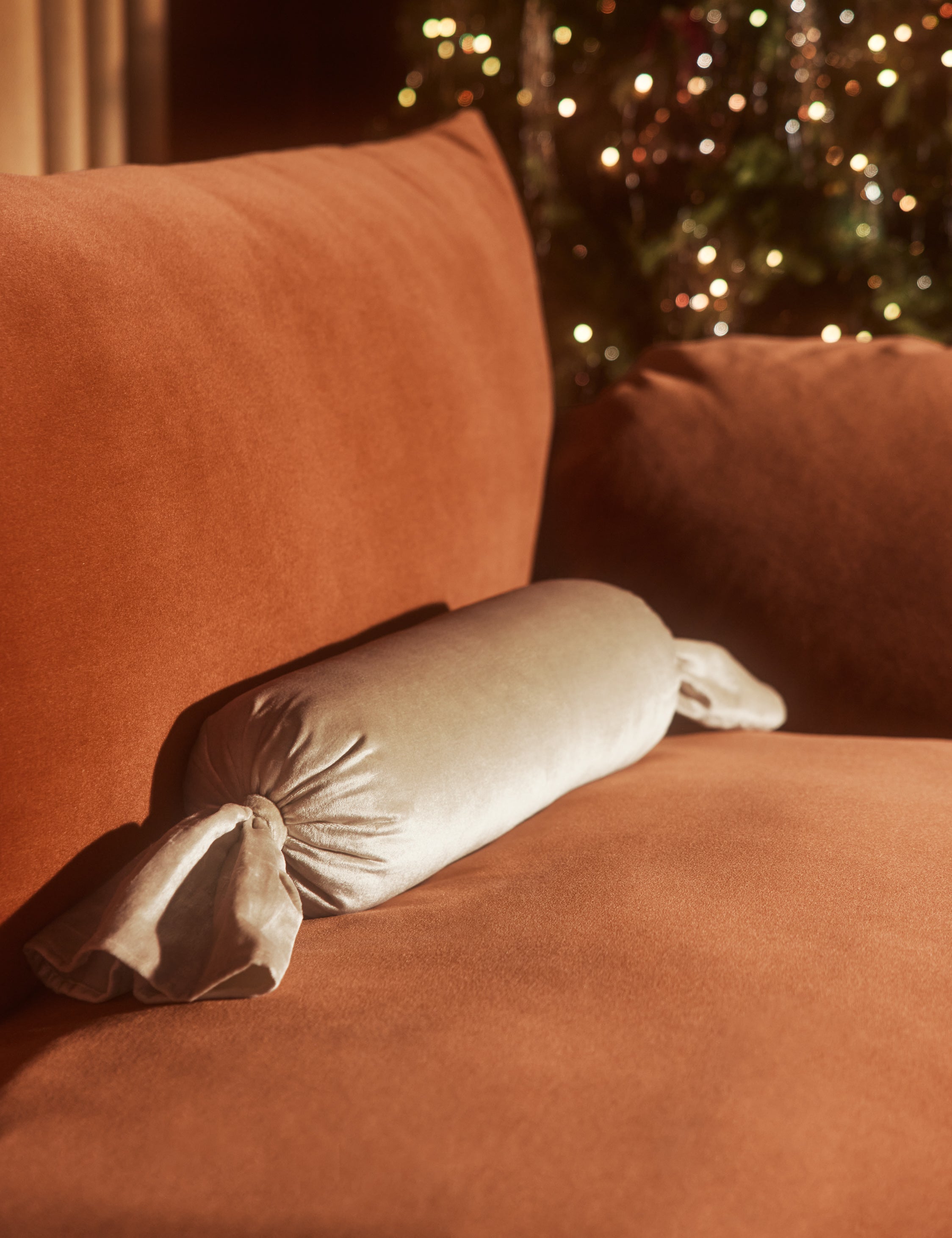 Brandis Velvet Pillow
