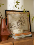 Balland Catchall