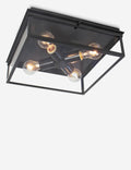 Sydney Outdoor Flush Mount Light by Regina Andrew