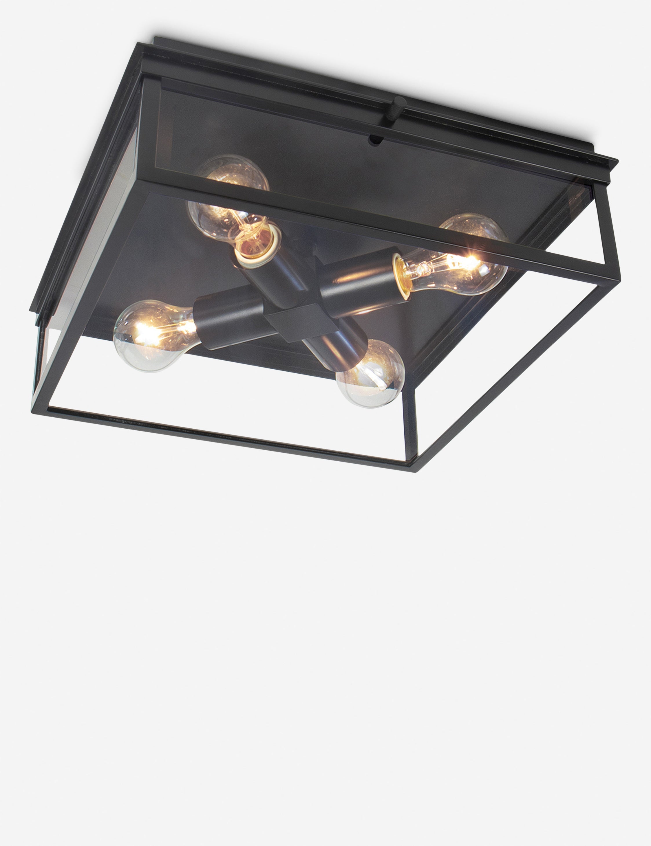 Sydney Outdoor Flush Mount Light by Regina Andrew