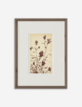 Meadow Rue No. 3 Wall Art by Shaina Page