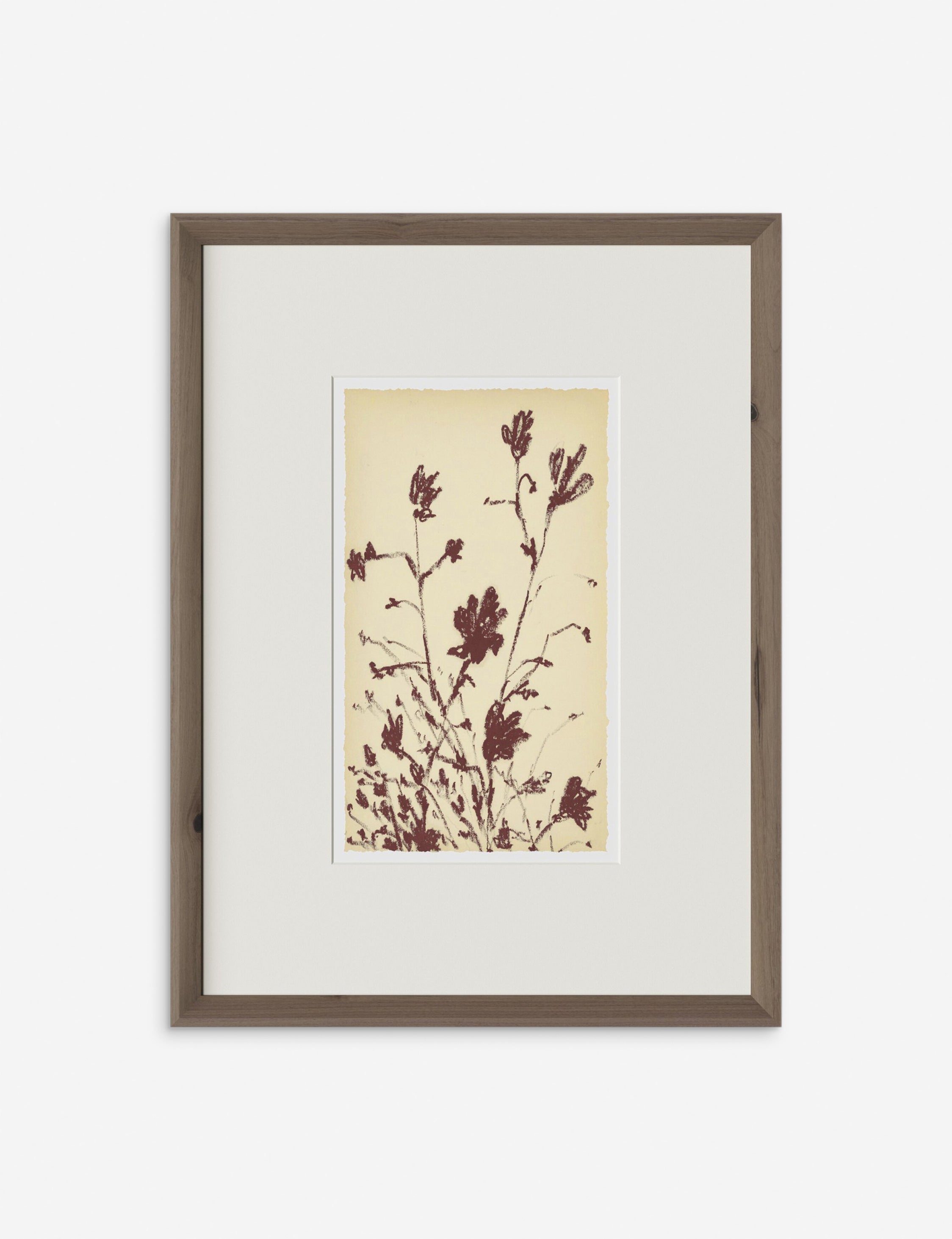 Meadow Rue No. 3 Wall Art by Shaina Page