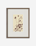 Meadow Rue No. 8 Wall Art by Shaina Page