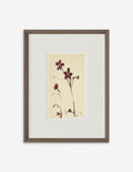 Meadow Rue No. 9 Wall Art by Shaina Page