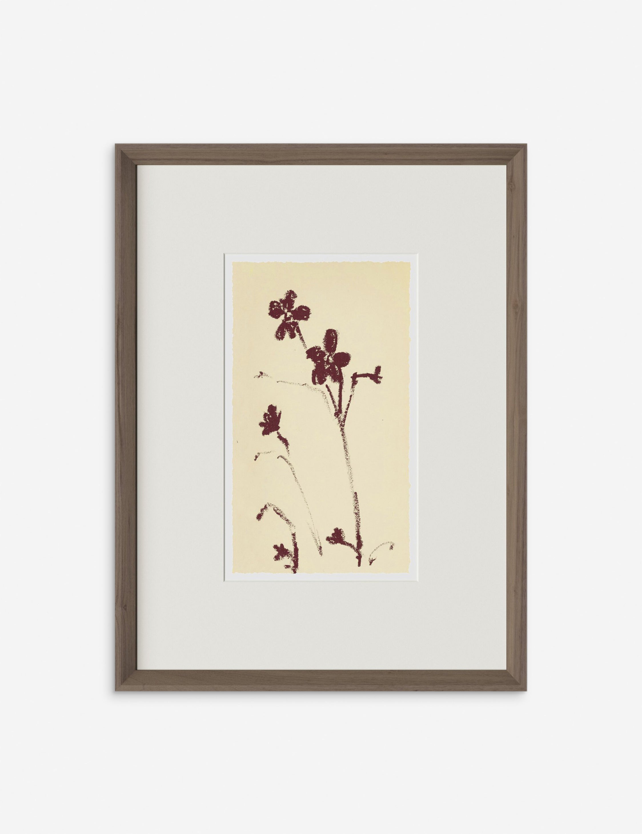 Meadow Rue No. 9 Wall Art by Shaina Page