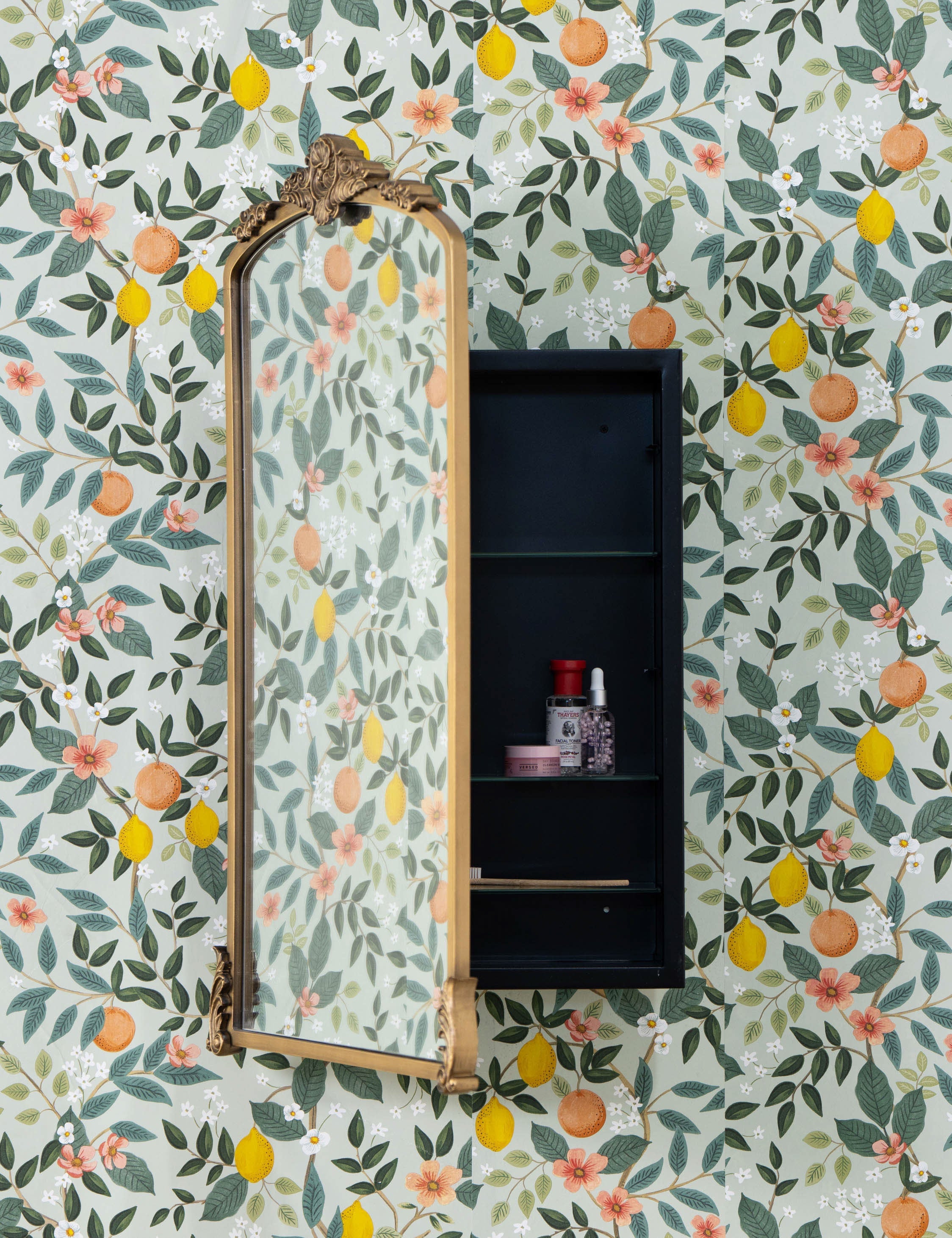 Casserly Medicine Cabinet