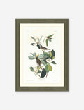 Wings of the Wild II Wall Art by Alex Zane
