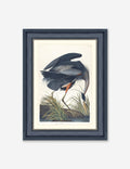 Wings of the Wild III Wall Art by Alex Zane
