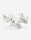 Nanda Bowl