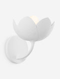 Mishal Sconce