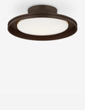 Marichelle Outdoor Flush Mount Light