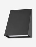 Aseem Outdoor Sconce