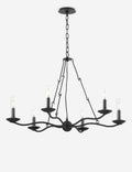 Bernier Outdoor Chandelier