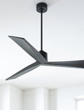 Renzo Ceiling Fan