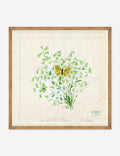 Clochettes et Papillon II Print by Paule Marrot