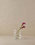 Scalloped Vase by etúHOME