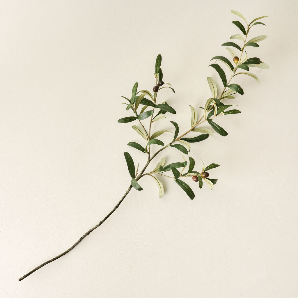 Olive Leaf Stem