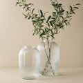 Olive Leaf Stem