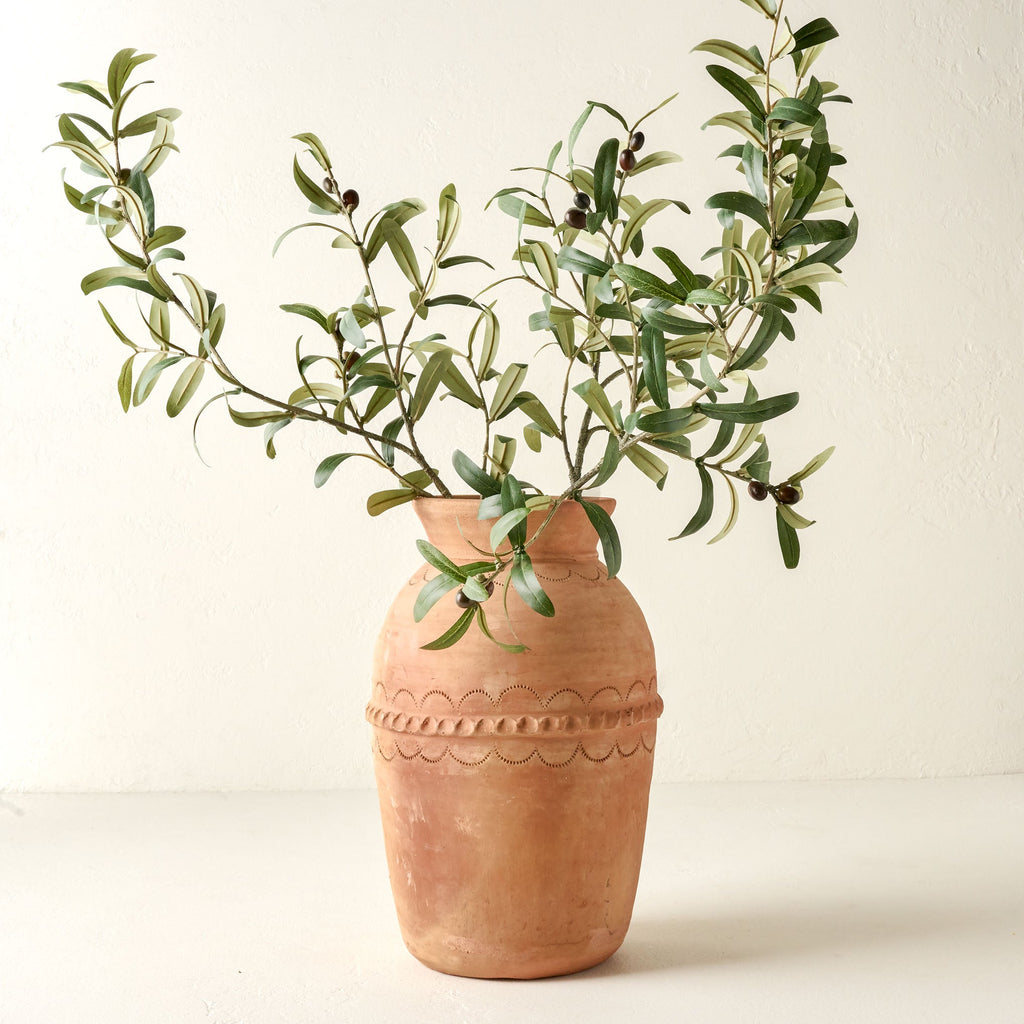 Olive Leaf Stem