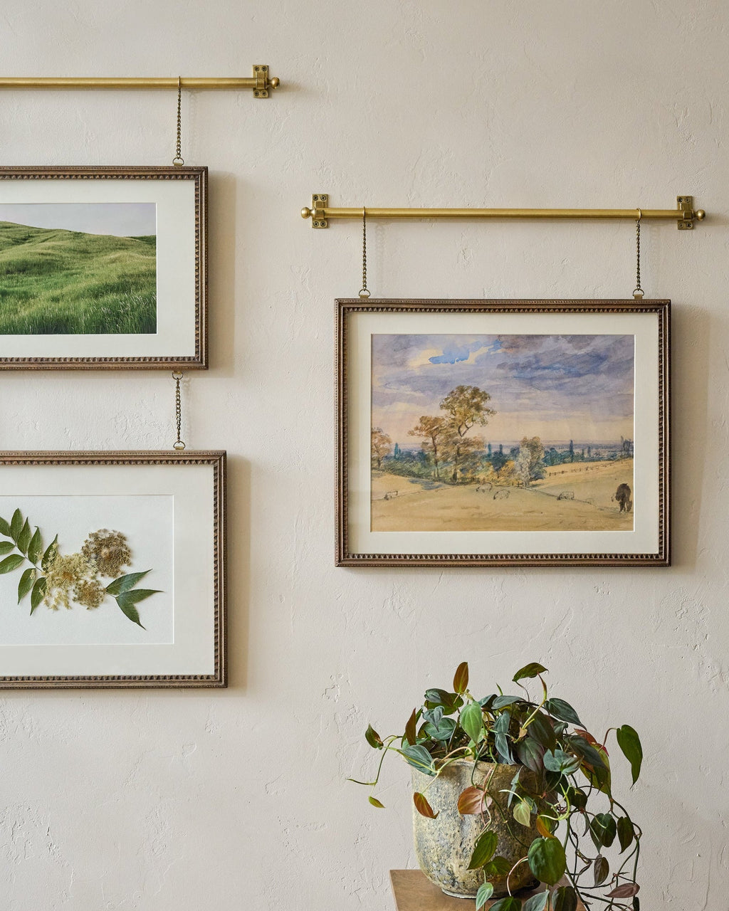 Colleen Wood and Brass Rail Picture Frame