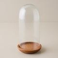 Glass Cloche with Wood Base