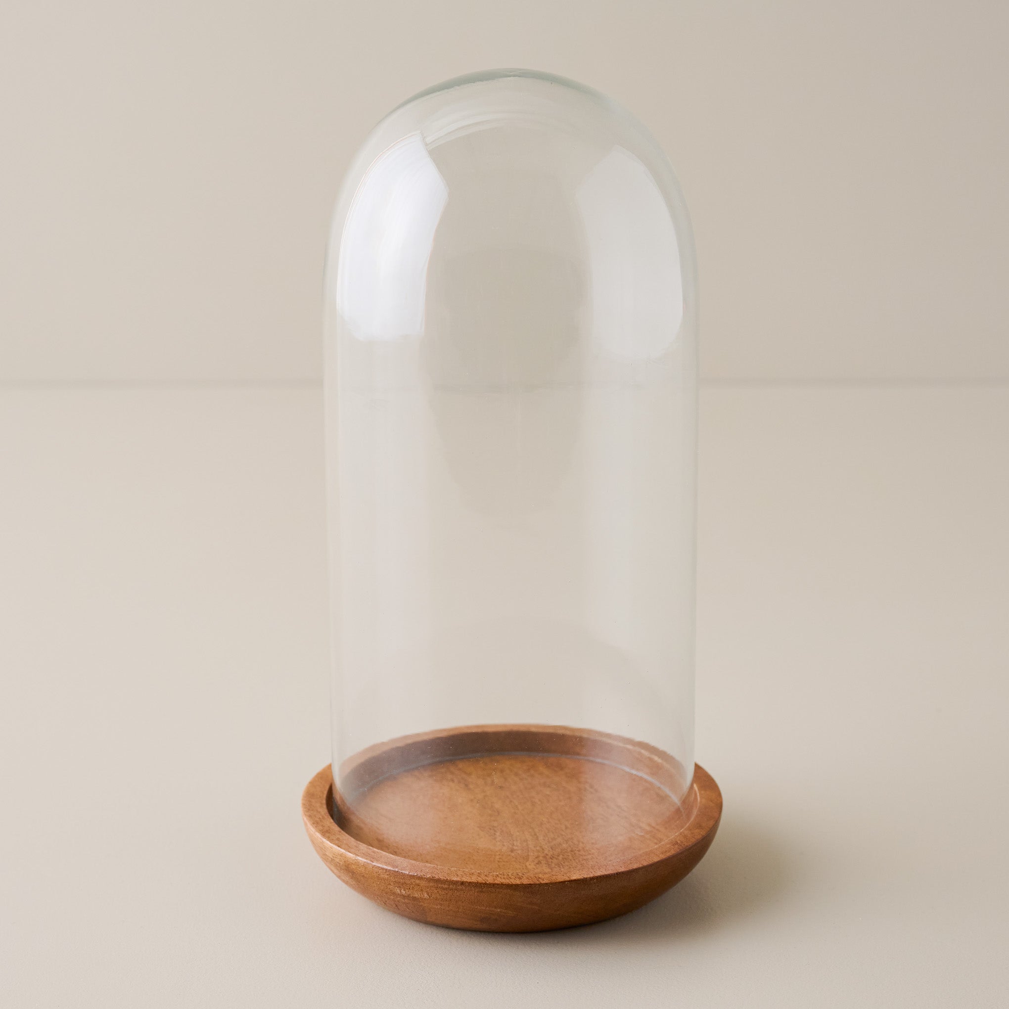 Glass Cloche with Wood Base