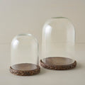 Eleanor Carved Wood Cloche