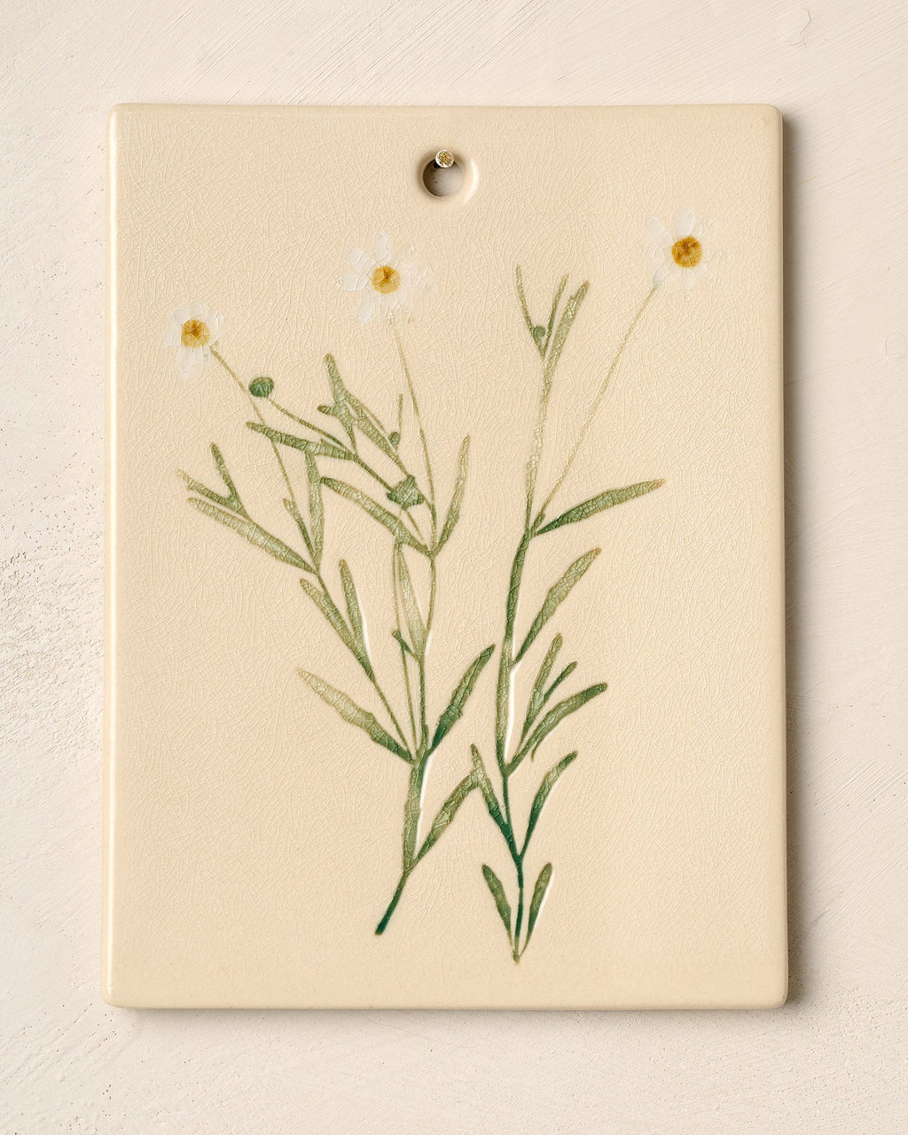 Jo's Herbarium Ceramic Wall Plaque - Collected Daisies