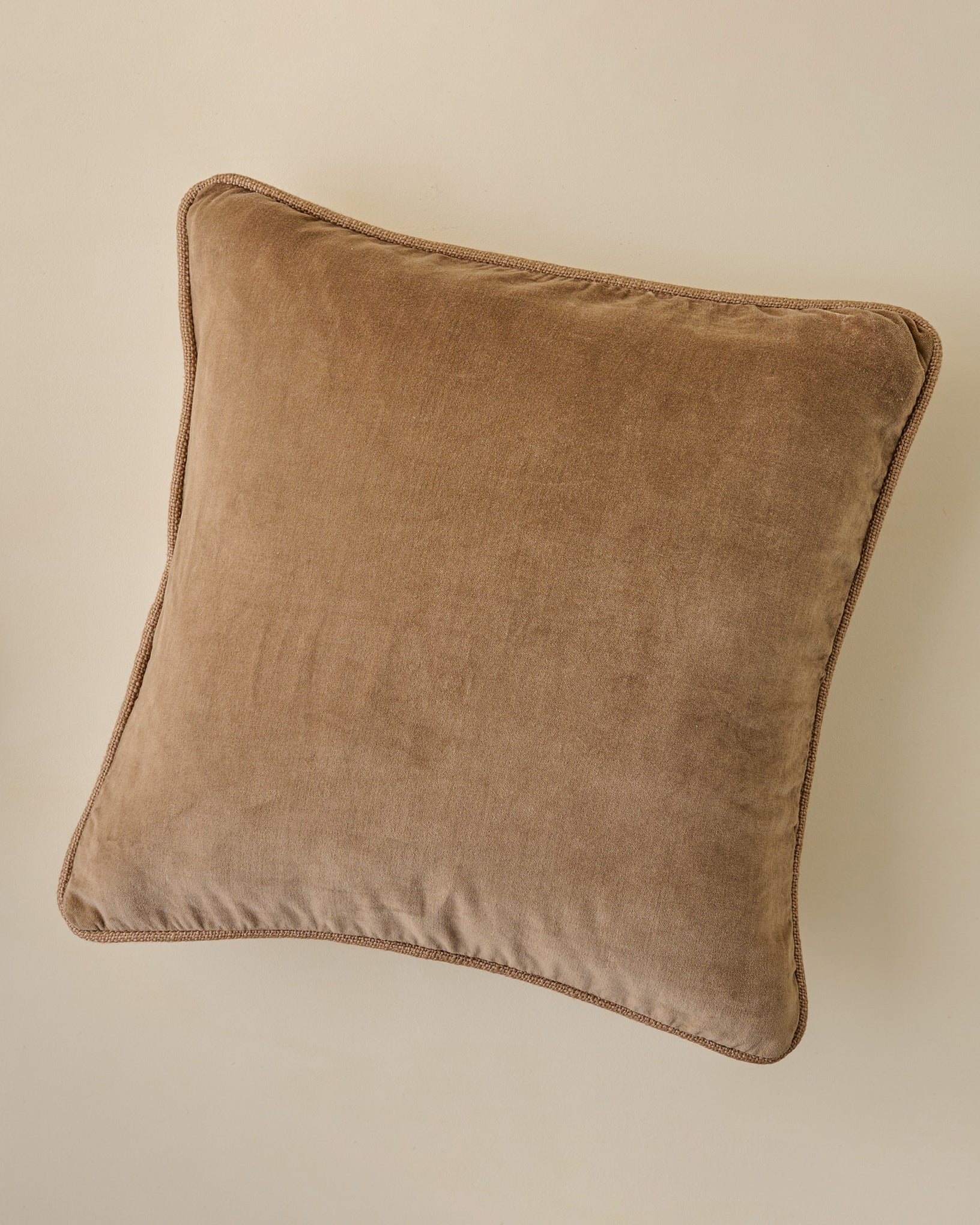 Lexie Velvet Pillow
