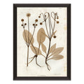 Preserved Plants III