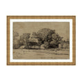 Farmland Study